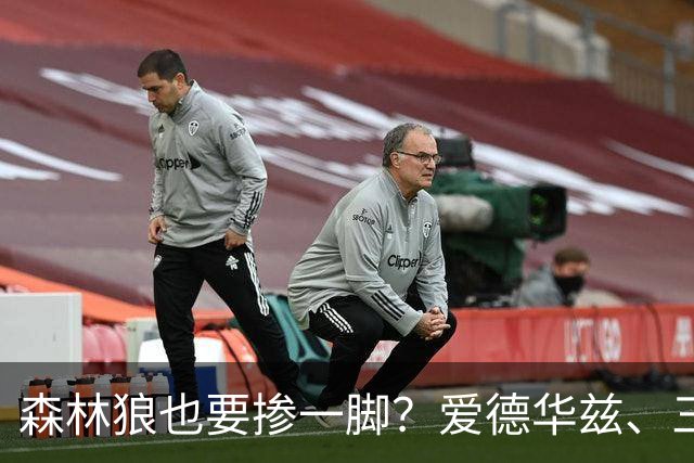 森林狼也要掺一脚？爱德华兹、三球联手招募，詹姆斯去向即将揭晓